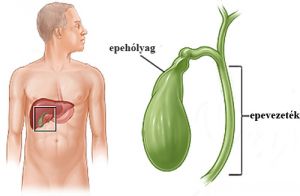 epehólyag problémák