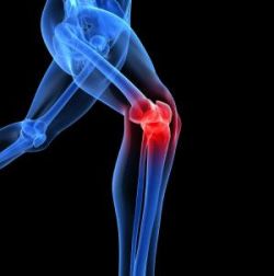meniscus sérülések