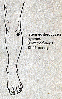 orrvérzés akupresszúra pontok