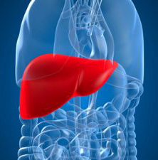 hepatitisz