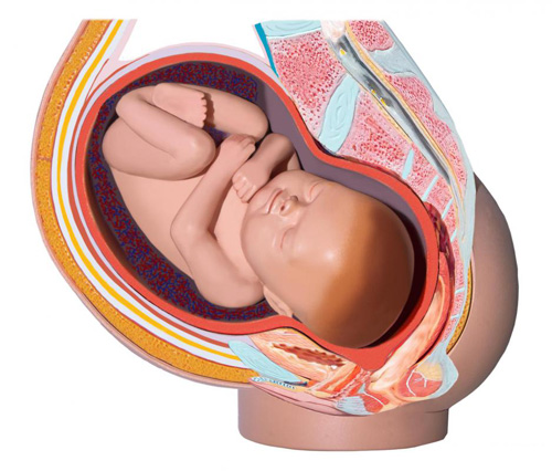 placenta elégtelenség