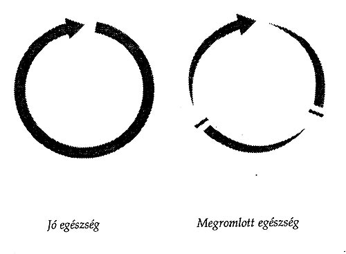 meridián energia