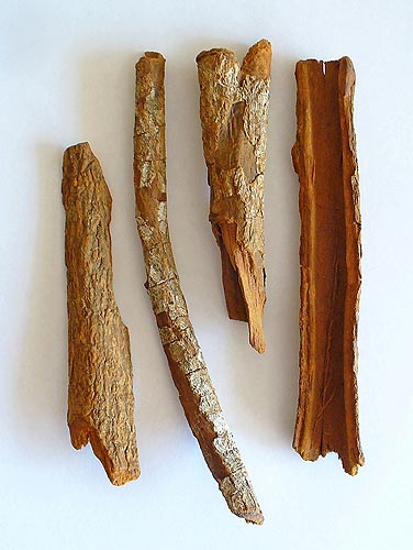 kinakéreg