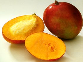 mangó gyümölcse