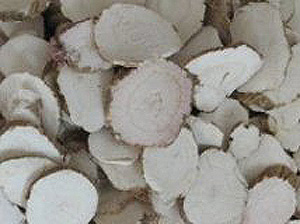 angyalfű gyökér