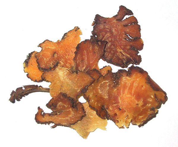 Chuan Xiong - Ligusticum chuanxiong