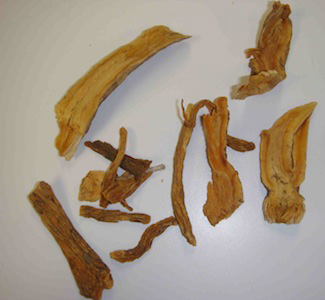 Qin Jiao - Gentiana macrophylla