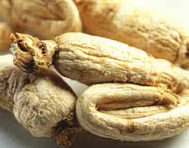 Ganoderma lucidum kapszula - Ginzeng gyökér