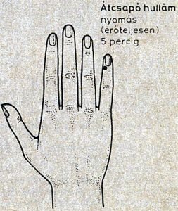 étvágytalanság akupresszúra kezelése