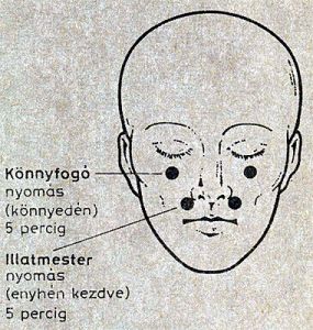 hasi fájdalom akupresszúra pontok