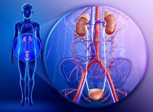 glomerulonephritis - vesegyulladás