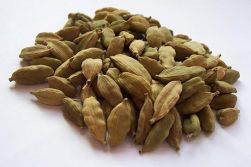 kardamom termés