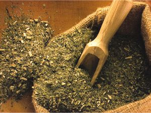 maté tea