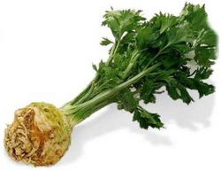 zeller