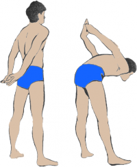 tüdő meridián és vastagbél meridián gyakorlatok