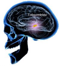 tobozmirigy